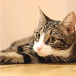 Meet your Posher, Monica